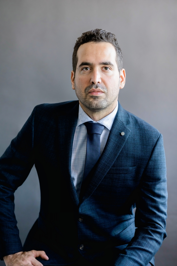 Ali Sedighi, MBA - Business and Technology Consultant